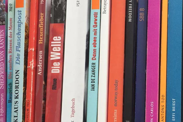 Bücherregal mit verschiedenen klassischen Schullektüren unter anderem sieht man eine Ausgabe von Die Welle