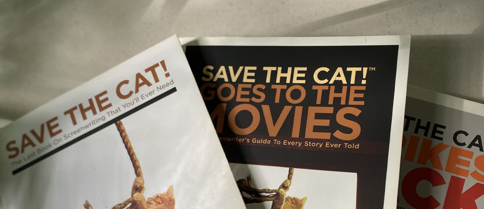 Foto von mehreren Schreibratgebern der Serie Save The Cat